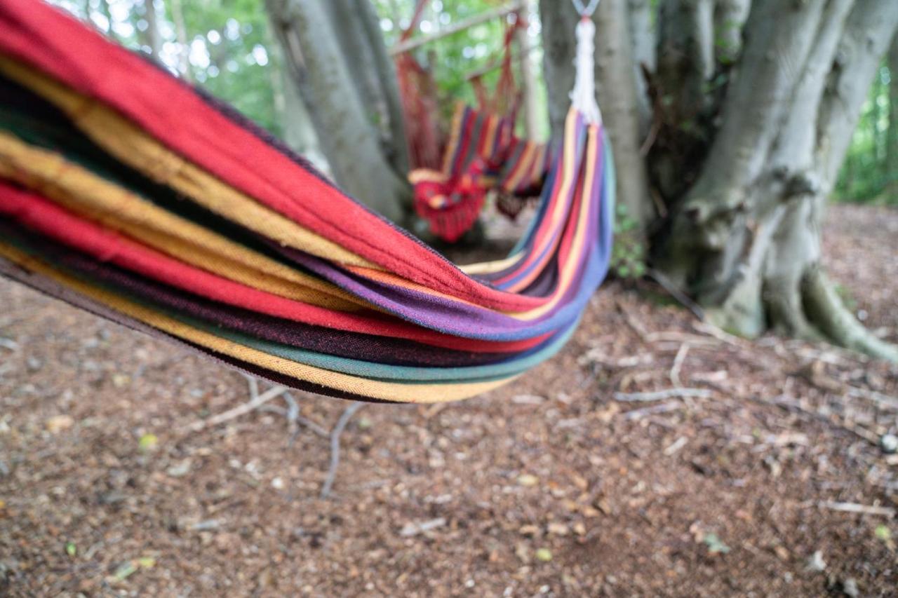 Gite Calypso De 14 Personnes Fecamp Etretat Colleville Exterior photo
