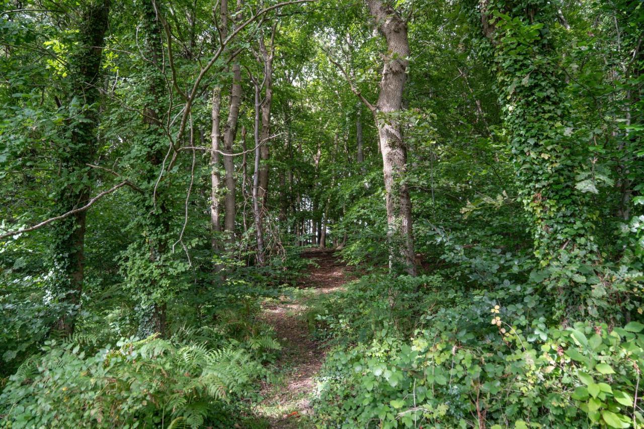 Gite Calypso De 14 Personnes Fecamp Etretat Colleville Exterior photo